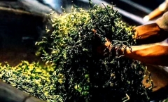 �º��������ӹ����ն���ڸ��ص�
